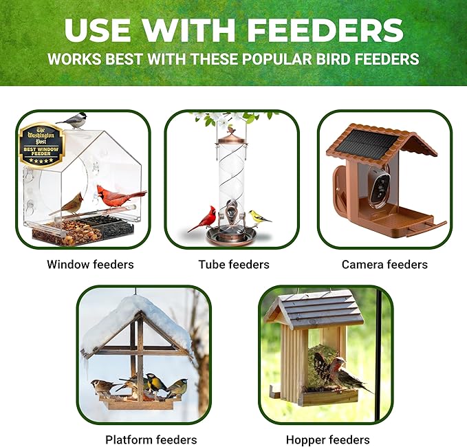 Nature Anywhere Safflower Bird Seed for Outside Feeders Safflower Supreme, 100% Pure Safflower Seed, Made in USA, No Fillers, Premium Wild Bird Food