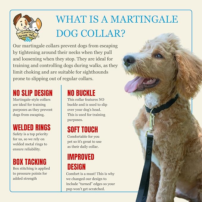 Country Brook Petz - Martingale Dog Collar - Heavy-Duty Training Collar with No Buckle - Service Dog Collar for All Pups - 20 Vibrant Colors (Black, 1 Inch, Extra Large)