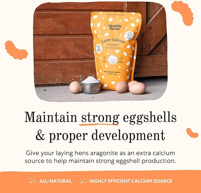 Grubbly Farms Supplements Bundle - Layer Calcium, Probiotics+Prebiotics, Vitamins+Electrolytes & Omega Mix - Complete Nutrition Support, Strong Eggshells & Digestive Wellness for Laying Hens