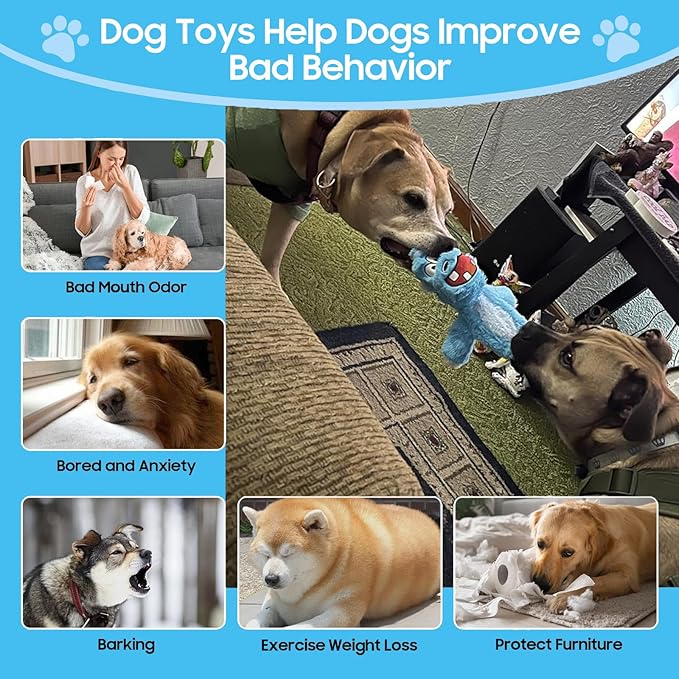 Bzonsmart 5-Pack Dog Squeaky Toys. Tough Plush Crinkle Toys for Small Medium Large Dogs. Interactive Dog Toys to Keep Them Busy. Soft chew Toys for All Dogs and Teething Playing Training