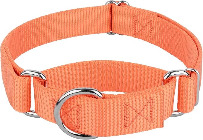 Country Brook Petz - Martingale Dog Collar - Heavy-Duty Training Collar with No Buckle - Service Dog Collar for All Pups - 20 Vibrant Colors (Mango, 3/4 Inch, Small)