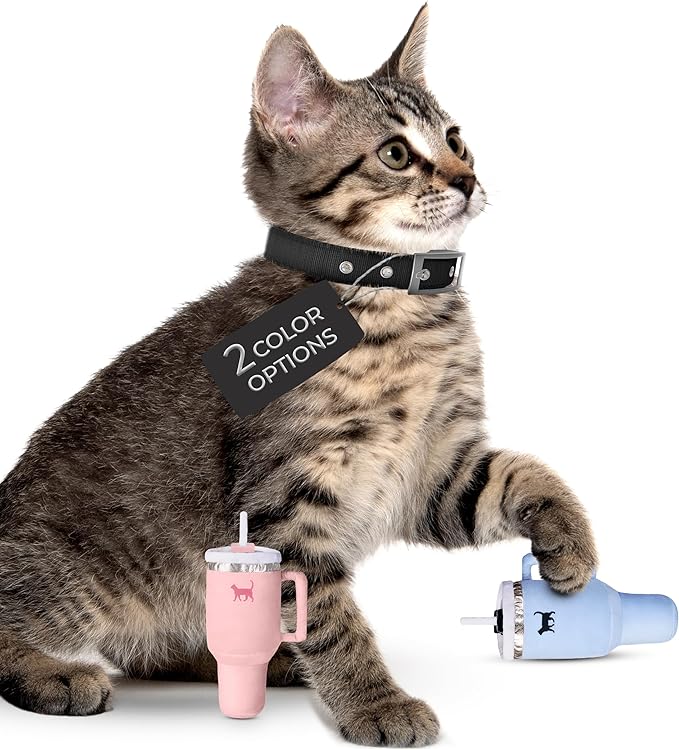 PUPROAR Kitty Cup Catnip Toy - Cute Cat Birthday Toy with Catnip & Crinkle, Funny Girly Kitten Gift (Chambray Blue)