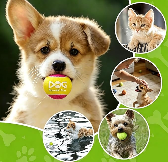 INSUM Squeaky Balls for Dogs - 24 Pack Small Squeaky Tennis Balls for Dogs, 2 Inch Eye-Catching Color Toy Balls, Built-in Squeaker, Idea for Doggie Birthday Gift