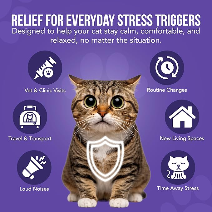 Cat Melatonin Drops, Liquid Melatonin for Cats for Grooming, Travel and Vet Visits, Calming Cat Sedative for Grooming, Cat Sleep Aid, Cat Melatonin Treats