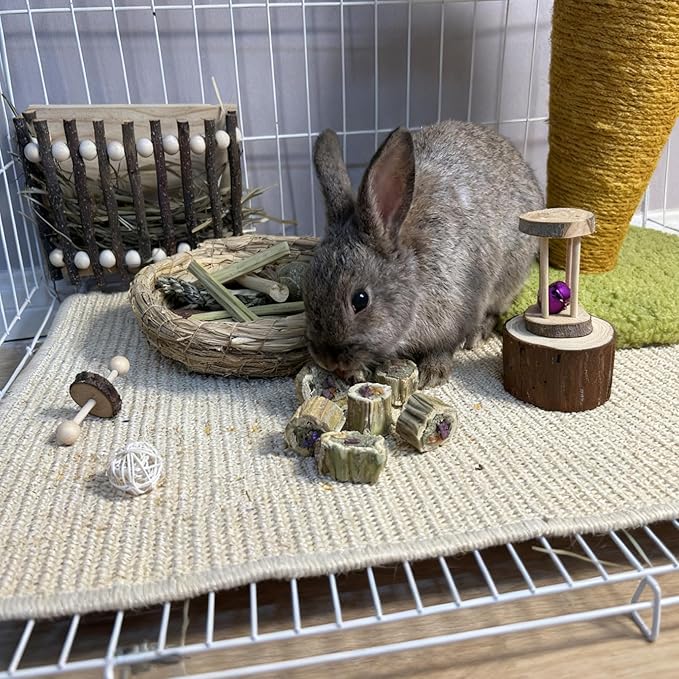 100G Rabbit Chew Toys Guinea Pig Treats Natural Papaya Wood Chew Sticks for Teeth Bunny Guinea Pig Hamster Chinchilla
