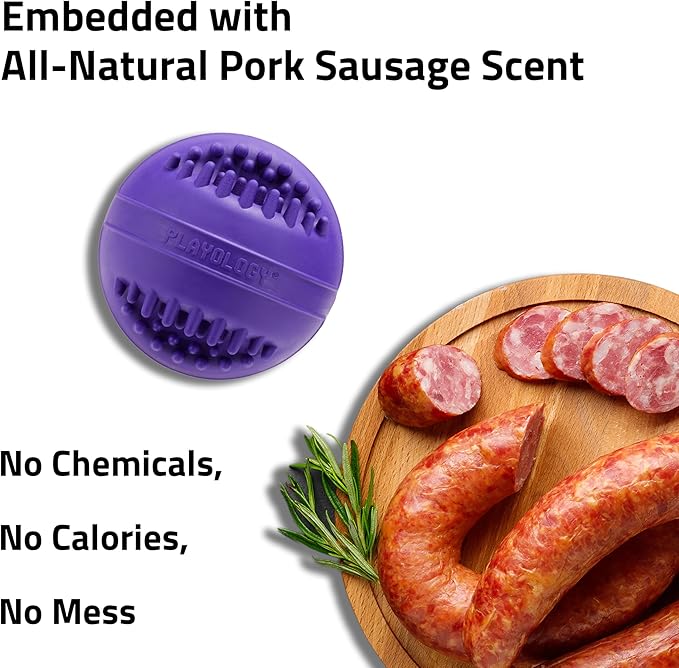 Playology Dog Toys | Dental Chew Ball for Large Senior Dogs | Pork Sausage Scented Jumbo Toy | Dog Balls for Healthy Teeth and Gums