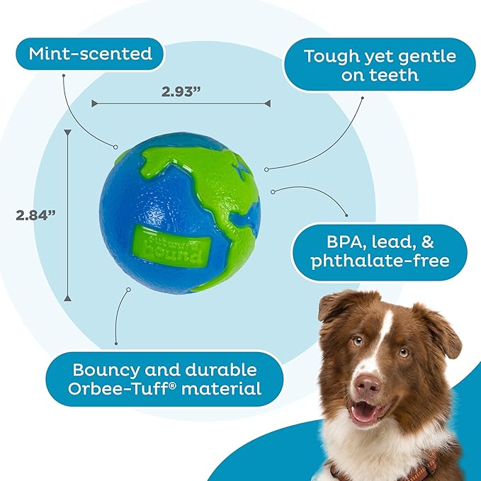 Outward Hound by Planet Dog Orbee-Tuff Planet Ball Blue/Green Treat-Dispensing Dog Toy, Medium