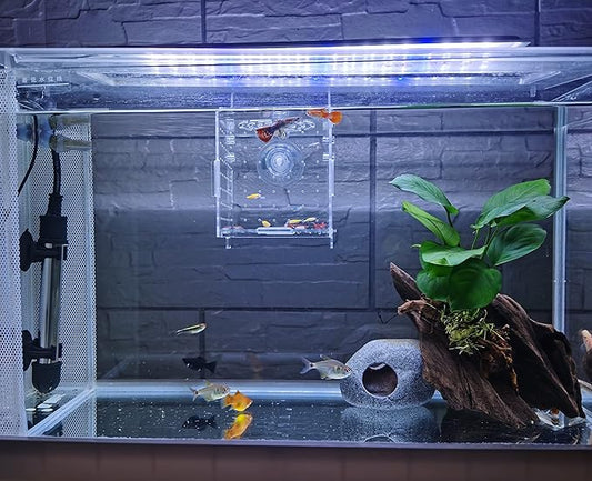 AWXZOM Acrylic Fish breeding Box, Acrylic Fish Isolation Box, Fish Separator for Aquarium, Hatchery Incubator with Suction Cups for Small Baby Fishes Shrimp Clownfish Guppy (3.9 * 3.9 * 3.9inch)