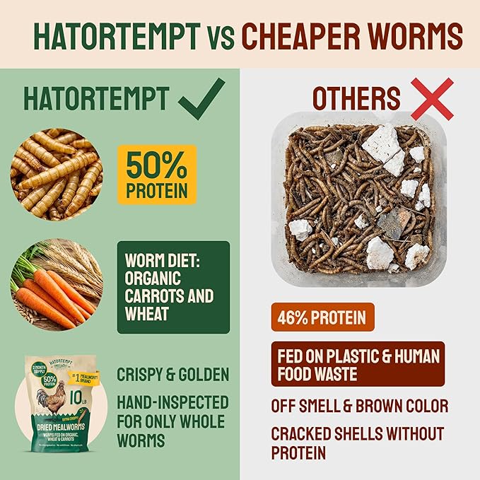 Hatortempt Dried Mealworms - Non-GMO & Organic - High-Protein Mealworms for Wild Bird Food, Ducks & Chickens (5lb)