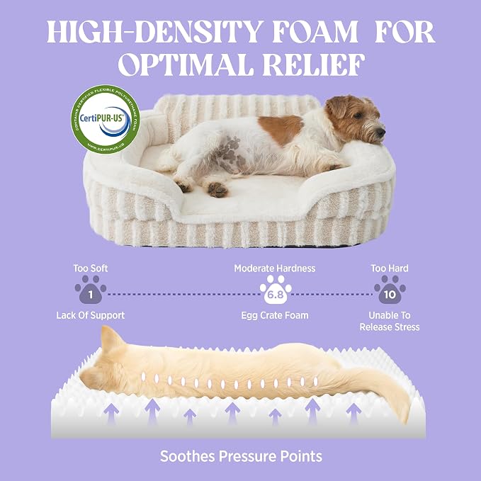 LE SURE Cute L-Plus Dog Beds, Orthopedic Waterproof Large Pet Bed with Sides, High Back Non-Slip Bottom and Egg-Crate Foam Dog Couch Sofa with Washable Removable Cover, Beige