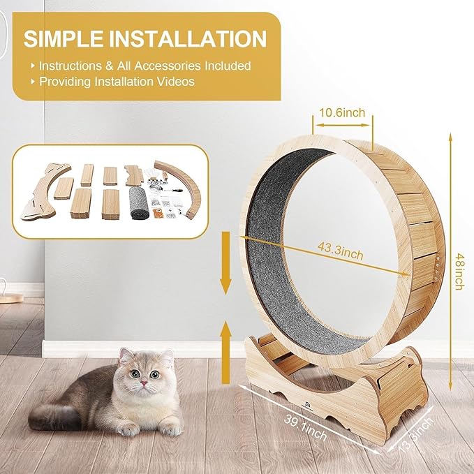 Cat Exercise Wheel, 48" XL Large Cat Treadmill with 7:3 Golden Ratio Design, Quiet and Sturdy Running Wheel with Detachable Carpet for Indoor Cats