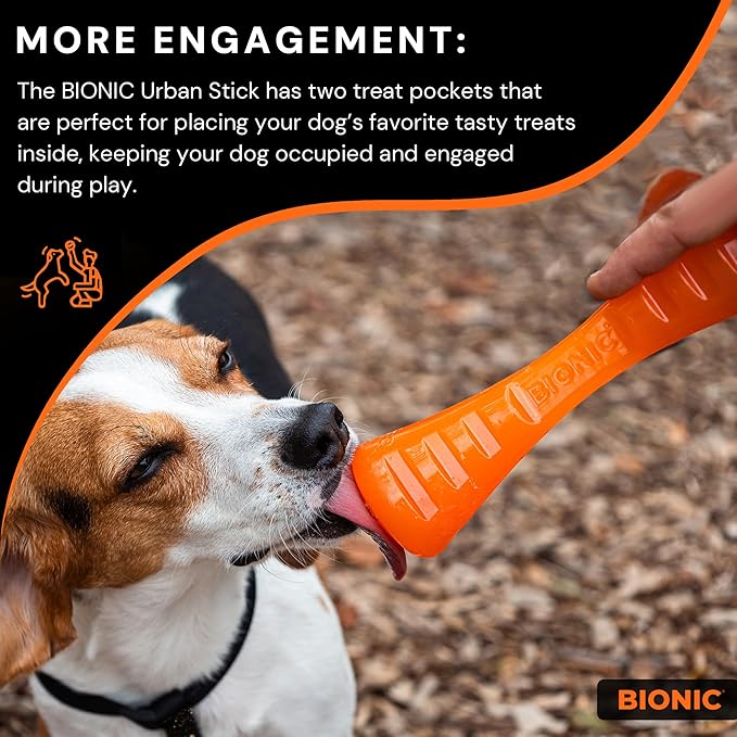 BIONIC Urban Stick Dog Toy, Medium - Interactive Dog Chew Toy That Stands Up to The Toughest Chewers, for Dogs Between 15-35 lbs. (7-15 kg.)