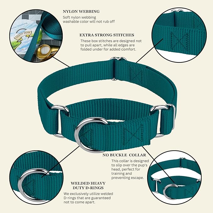 Country Brook Petz - Martingale Dog Collar - Heavy-Duty Training Collar with No Buckle - Service Dog Collar for All Pups - 20 Vibrant Colors (Teal, 3/8 Inch, 2XS)