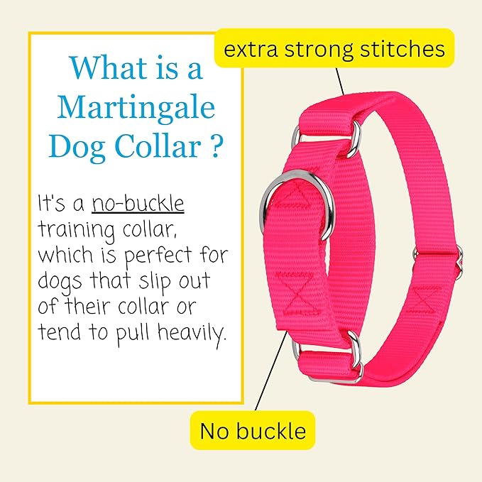 Country Brook Petz - Martingale Dog Collar - Heavy-Duty Training Collar with No Buckle - Service Dog Collar for All Pups - 20 Vibrant Colors (Hot Pink, 5/8 Inch, Extra Small)