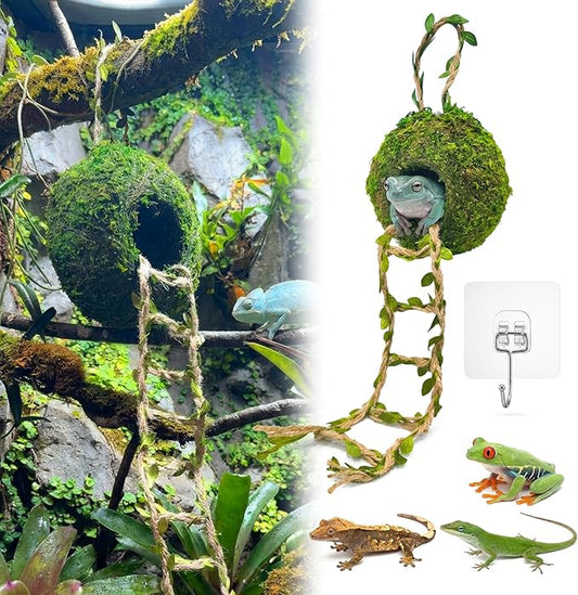 Moss Cave Hideout with Hanging Rope & Hemp Climbing Ladder – Natural Reptile Tank Decor Accessories for Crested Geckos, Chameleons, Tree Frogs, Leopard Geckos & Snakes. Terrarium & Vivarium Decor (4")