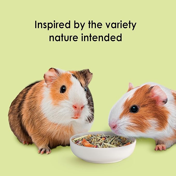 Kaytee Food from The Wild Natural Pet Guinea Pig Food, 4 Pound