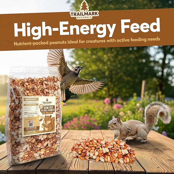 8 LB - Raw Shelled Peanuts For Squirrels, Out of Shell Peanuts For Birds and Wildlife- Squirrel Food, Wild Bird Seed - Grown in The USA