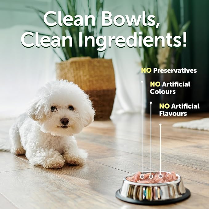 Nature's Protection Wet Dog Food Pouches for Small & Large Breed - High Protein, 24-Pack Soft Dog Food Toppers for Adult Dogs with Light Fur (Superior Care - Tuna & Salmon, 2.46-oz)