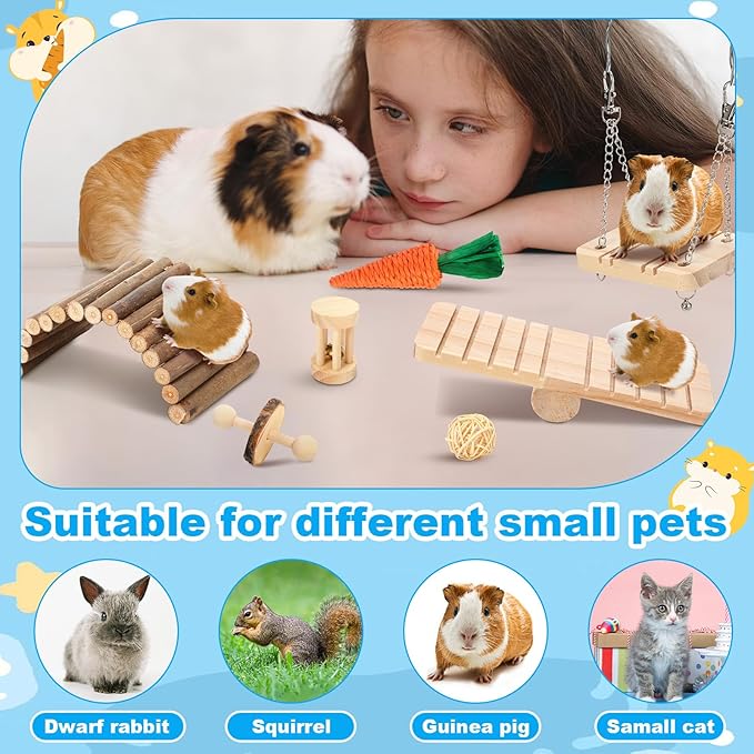 Youyole 13 Pcs Guinea Pig Starter Kit Hamster Toys Bed Guinea Pig Cage Accessories with Tunnel Grass Mats Pet Food Bowl for Christmas Chinchillas Hedgehogs Ferrets Rabbit Hideout Essentials(Blue)