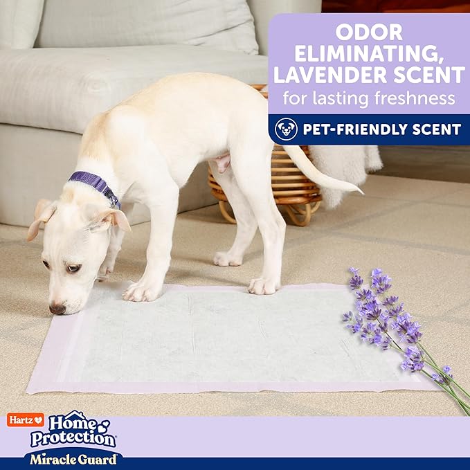 Hartz Miracle Guard Dog and Puppy Dog Pads Max Absorbency 24 Hour Use Odor Eliminating Lavender Scented No Leaks, 3XL Size 20 Count