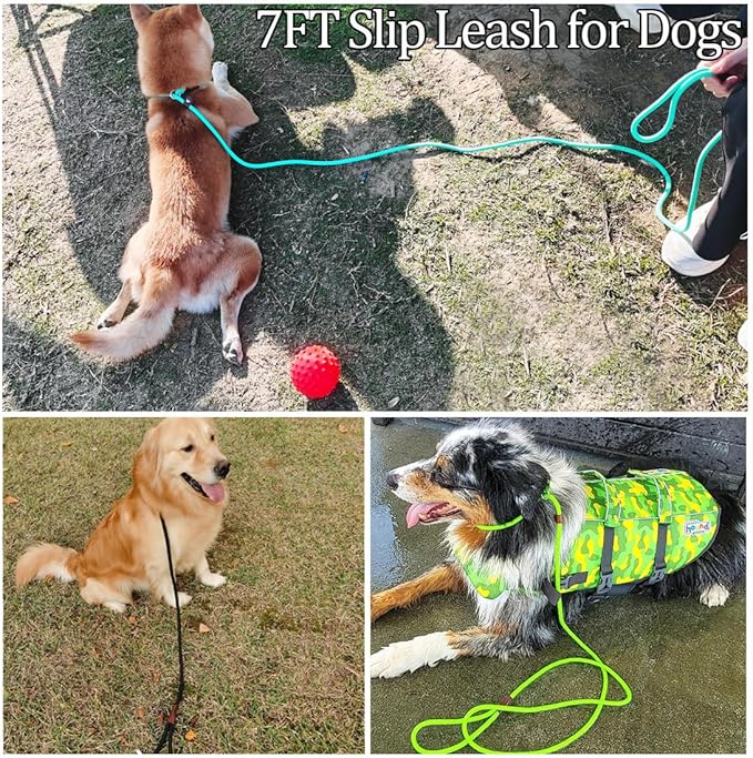 MayPaw Slip Lead Control Leash for Dogs No Pull, 13+ Colors Classic Dog Lead 7FT Pet Slip Leash, 1/4” Rope Leashes for Small Medium Animals (7ft*1/4", Dark Green)