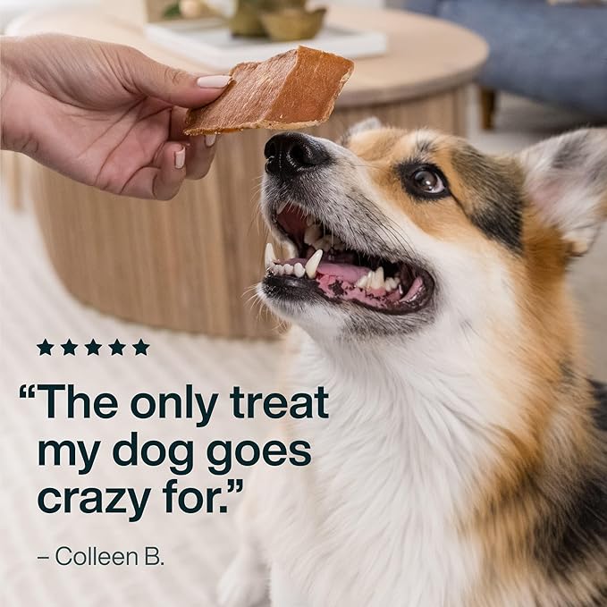 JustFoodForDogs Single Ingredient Healthy Dog Treats and Dog Snacks, Jerky Treats, Human Grade, Preservative and Grain Free, Rawhide Free Chews, Low Calorie Treat - Chicken Breast, 18 oz