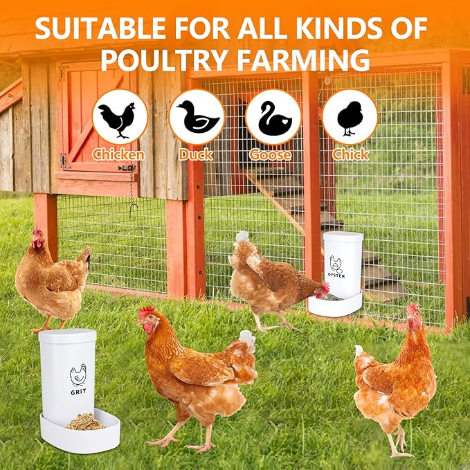 Chicken Oyster Shell Feeder and Grit Feeder with Lid, Automatic Chicken Feeder Coop Accessories Supplies Bottom with Drainage Holes Design for Healthier Hens & Eggs
