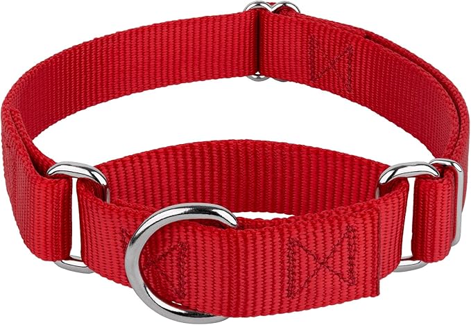 Country Brook Petz - Martingale Dog Collar - Heavy-Duty Training Collar with No Buckle - Service Dog Collar for All Pups - 20 Vibrant Colors (Red, 1 Inch, Medium)