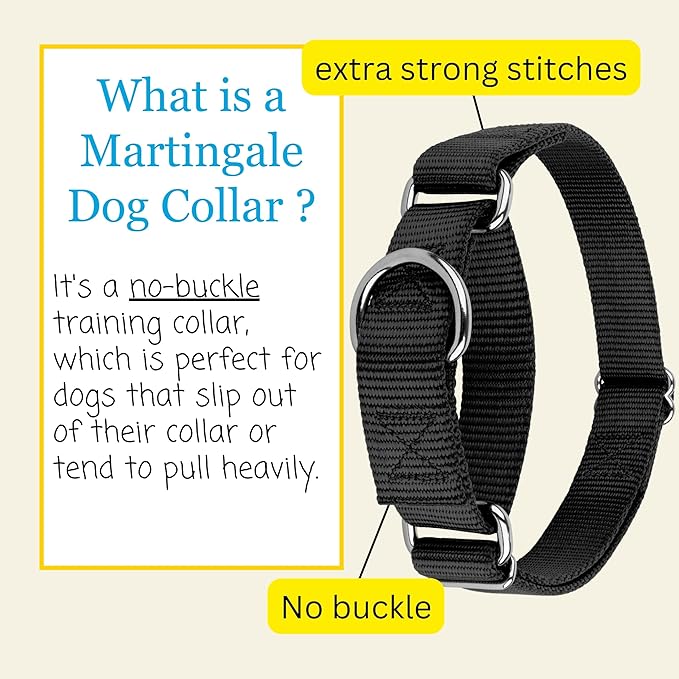 Country Brook Petz - Martingale Dog Collar - Heavy-Duty Training Collar with No Buckle - Service Dog Collar for All Pups - 20 Vibrant Colors (Black, 1 Inch, Medium)