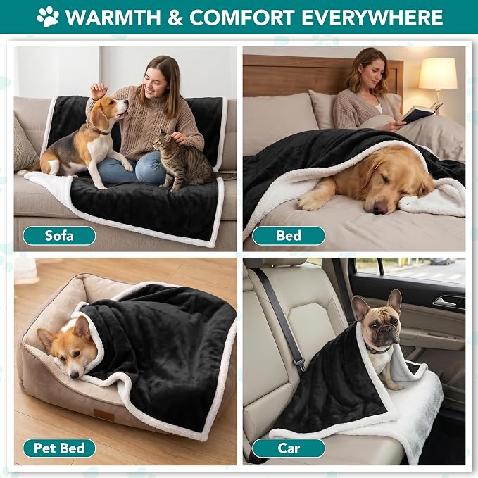 PetAmi Dog Blanket for Small Medium Dogs and Cats, Soft Sherpa Fleece Pet Blanket Throw for Puppies Kittens, Reversible Plush Couch Cover Protector for Sofa Bed Crate, Machine Washable, 60x40, Black