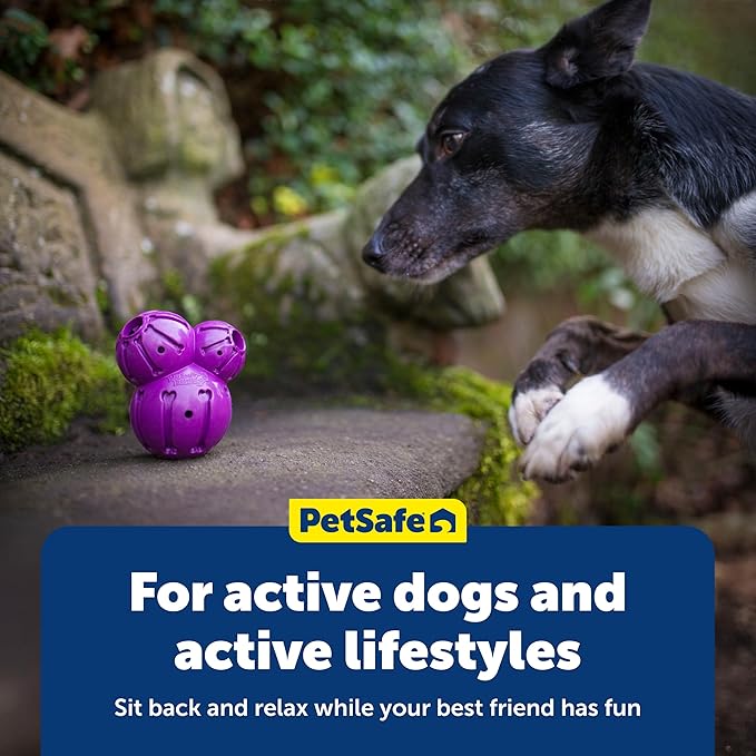 PetSafe Busy Buddy Barnacle, Medium