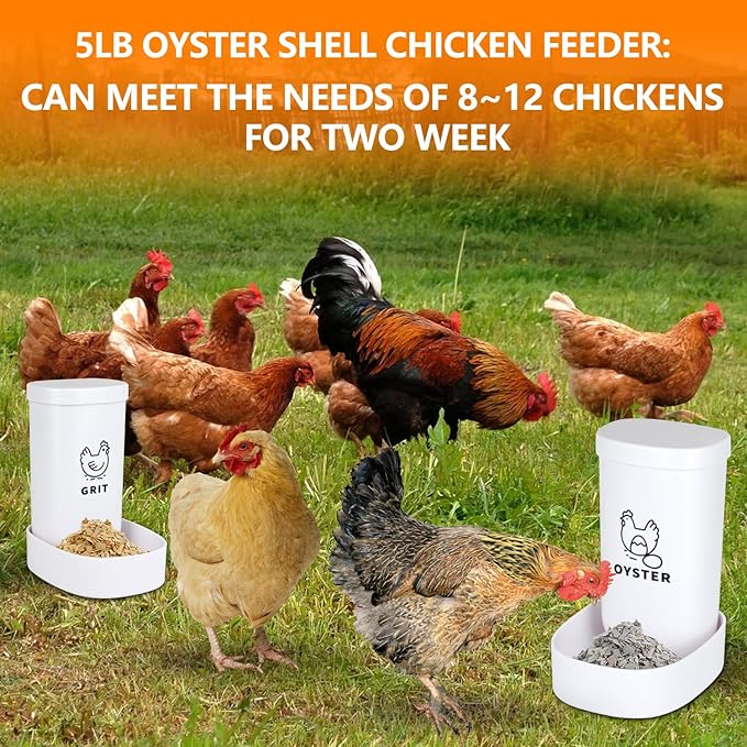 Chicken Oyster Shell Feeder and Grit Feeder with Lid, Automatic Chicken Feeder Coop Accessories Supplies Bottom with Drainage Holes Design for Healthier Hens & Eggs