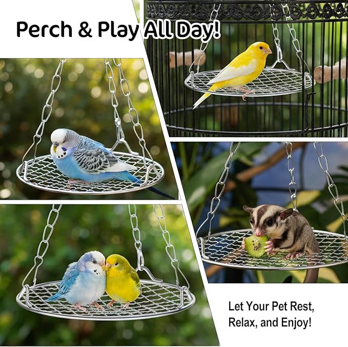 Bird Swing for Cage Stainless Steel Bird Swing Hanging Parakeet Swings Birds Cage Accessories to Balance Training Budgies Parrotlets Rat Sugar Gliders Small Animals