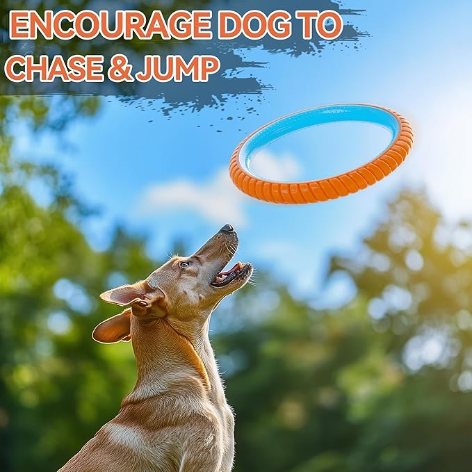 ALL FOR PAWS 10.8" Dog Ring Toy, Interactive Dog Toy for Fetch & Tug of War, Rubber Dog Toy for Medium to Large Dogs, Outdoor Dog Toy for Training & Exercise, Anxiety Relief & Boredom