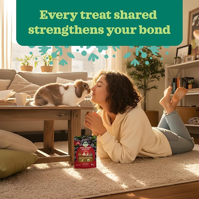 Oxbow Simple Rewards BlackBerry & Basil Treats, Great as Chinchilla, Hamster, Rodent, Guinea Pig & Rabbit Treats, Small Pet Snack, Made Timothy Hay, Made in USA, 3 oz (Pack of 2)