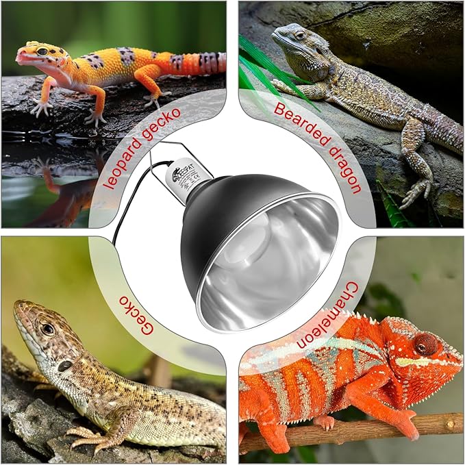 Large Caliber Reptile Lamp Cover Dome Supports Up to 250W, Diameter 7.0 Inch Heat Lamp/Light Fixture Dome Fit for E26 UVA/UVB Basking Bulbs, Perfectly Fit 250 watts Ceramic Heat Lamp