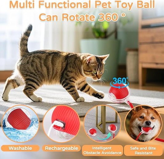 Goosheep 2025 New 2Pack Cat Ball Kitten Toys for Indoor Interactive Kitty Ball Toy Speedy Tail 360° Automatic Rolling for Dog, Cat(Red Grey)