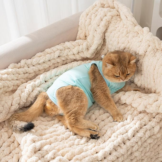 Avont Cat Recovery Suit for Surgery, Breathable Anti-Licking Onesie for Kittens, Surgical Post-Operative Protective Bodysuit, Comfortable Alternative to E-Collar -Mint (M)