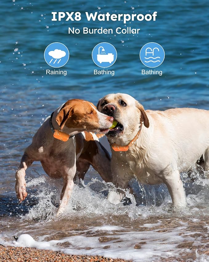 Dog Shock Collar 2 Dogs (10-120Lbs) - 4200FT Dog Training Collars with Remote Control, IPX8 Waterproof Rechargeable E-Collars for Large Medium Small Dog