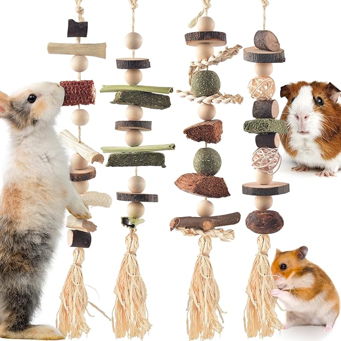 DBNESS 4 Pcs Bunny Chew Toys for Teeth, Hanging Rabbit Chewing Toy Treats with Timothy Grass & Natural Apple Wood, Improve Small Rodent Dental Health for Guinea Pig Hamster Chinchilla Rat Gerbil