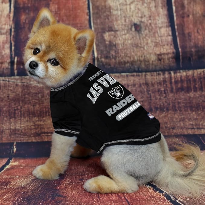 Raiders Tee Shirt – Pets First