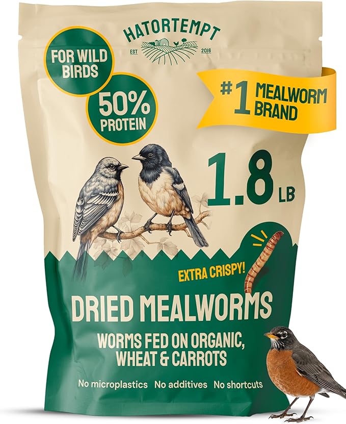 Hatortempt Dried Mealworms for Wild Birds - 1.8 Lb Bag - Non-GMO Bluebird Food - High-Protein Meal Worms for Blue Birds, Robins and Chickadees