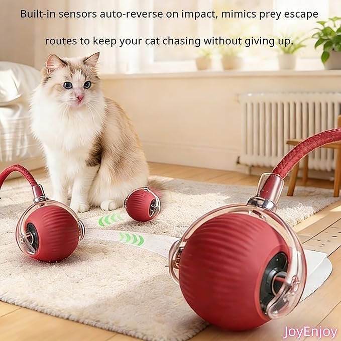 Interactive Cat Toy Ball Automatic Rolling Smart Cat Ball with Tail Motion Activated USB Rechargeable 3 Speed Modes Bird Chirping Durable Silicone Pet Toy for Indoor Cats Multiple Colors (Blue)