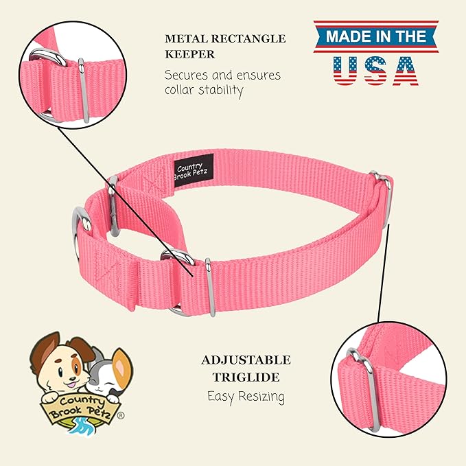 Country Brook Petz - Martingale Dog Collar - Heavy-Duty Training Collar with No Buckle - Service Dog Collar for All Pups - 20 Vibrant Colors (Pink, 3/8 Inch, 2XS)