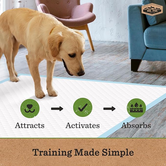 Dr. Pol Puppy Training Pads - X-Large Scented Pee Pads for Dogs with Ultra Absorbent Quick Dry Gel, 28 x 30, 50 Count