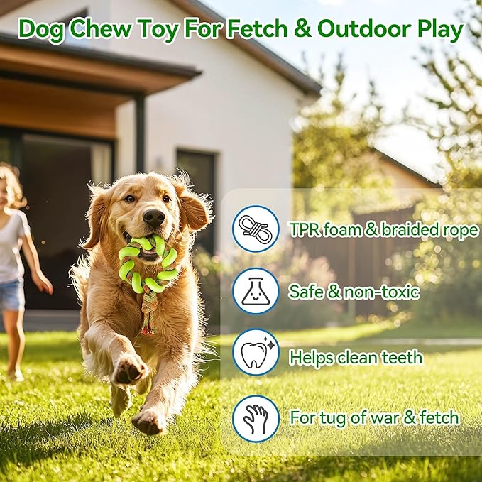ALL FOR PAWS 6.1" Dog Ring Toy, Tug of War Dog Toy with TPR Foam & Rope, Interactive Dog Toys for Fetch, Training & Outdoor Play, Dog Toys for Small, Medium & Large Dogs