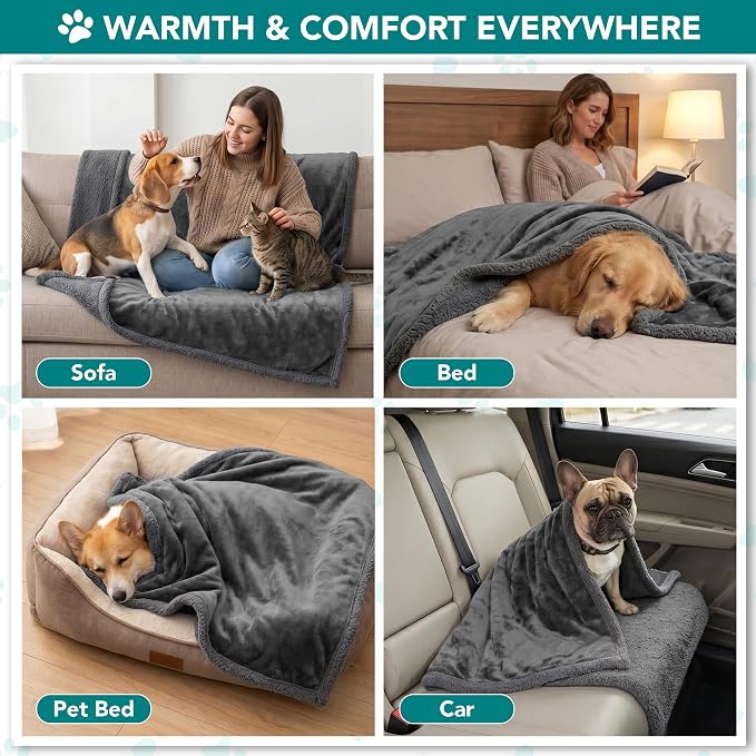 PetAmi Dog Blanket for Small Medium Dogs and Cats, Soft Sherpa Fleece Pet Blanket Throw Puppies Kittens, Reversible Plush Couch Cover Protector Sofa Bed Crate, Machine Washable, 60x40, Solid Dark Gray