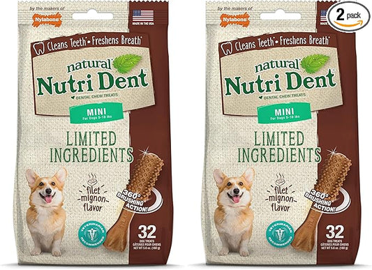 Nylabone Nutri Dent Dog Dental Chews - Natural Dog Teeth Cleaning & Breath Freshener - Dental Treats for Dogs - Filet Mignon Flavor, Mini (32 Count) (Pack of 2)