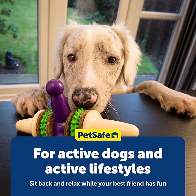 PetSafe Busy Buddy Jack - Treat Holding Dog Chew Toys - Helps Clean Teeth - Vanilla Scented Rubber for Strong Chewers - Treat Refills Included, Interactive Dog Toy Helps Keep Dogs Busy, Purple, Medium