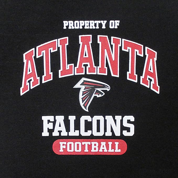 NFL Atlanta Falcons Dog T-Shirt for Pets, Size X-Small. Officially Licensed Pet Shirt with Team Logo, Soft Stretchable Comfort Fit Apparel for Dogs & Cats